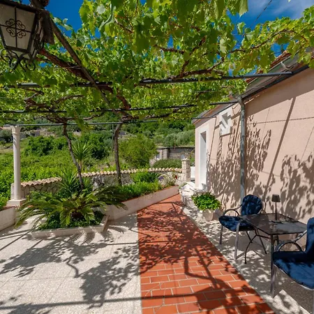 Penzion Radovcic And 3*